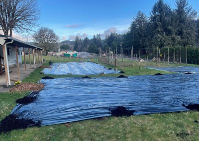 Black tarps being places over grass in front of a house.